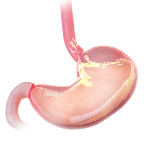 /the-gastric-ballon-for-6-or-12-month/