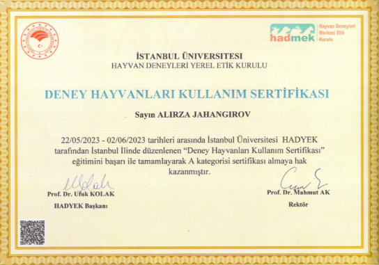 IMG-20250325-WA0002 (1)